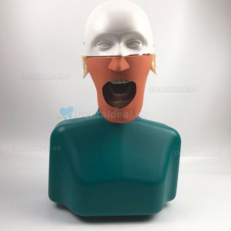 Jingle JG-C1 Dental Surgery Practice Model Head Clamp Type Simulation Phantom Head